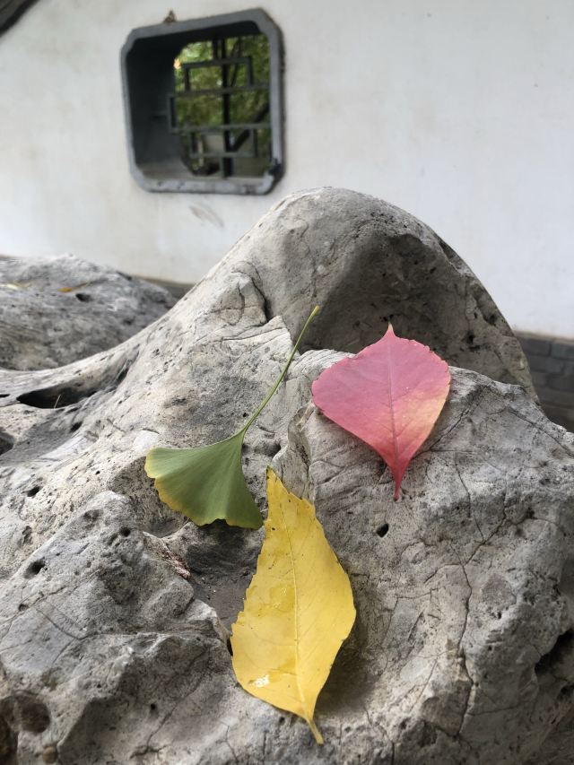 宣武艺园旅行图片 6