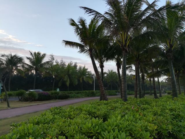 白沙门沙滩旅行图片 8