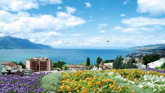 Le Pavois餐厅图片