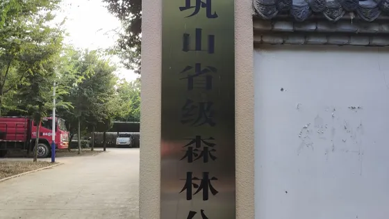 大鞏山森林公園