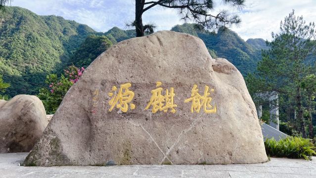 龙麒源
