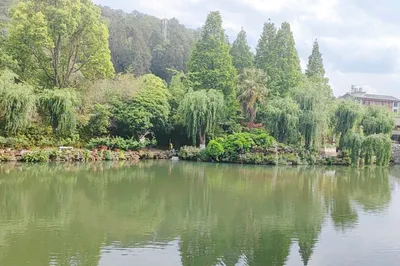 云南丰泽园植物园