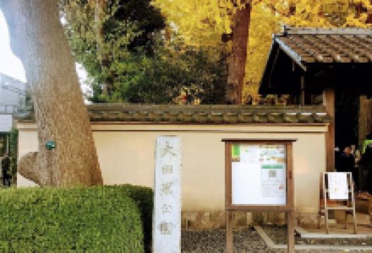 杉并区立大田黑公园景点图片