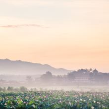 广昌图片