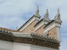 万载古城-万载-大松树叶子