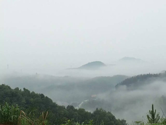 踏雾前行,来上饶神农源的路上都是风景