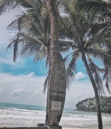 卡马拉海滩-普吉岛-小小呆60