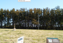 Kawajiri Memorial Tower of Tsunami景点图片