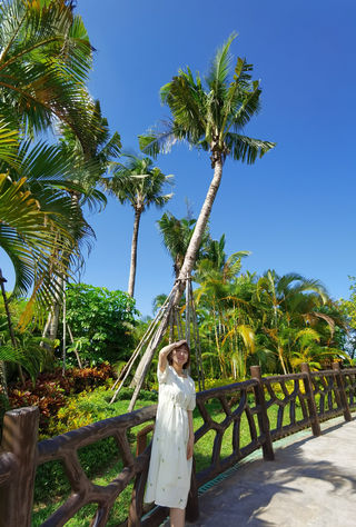 海南陵水|藏匿在热带雨林秘境中的希尔顿逸林酒店!悠闲地小众秘境