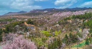 文化传承千年，岐山周原带你领略中华文明上下三千年的魅力