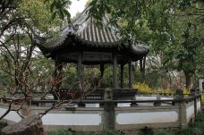 古猗园-上海-自由的花爱吃柚子