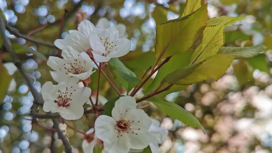和澤公園