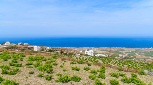 【跟团游】mini团|雅典 圣托里尼 米洛斯岛7日·4人用车至多!