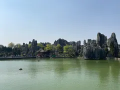 1-Day Shilin Tour: Explore Ancient Rock Formations and Natural Wonders