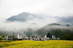 瑞金游记图片] 江西红色景点游记|重走那段路