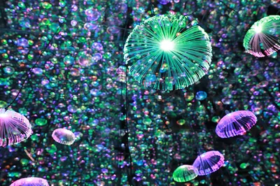 上海星空艺术馆