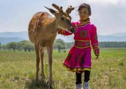 travel picture