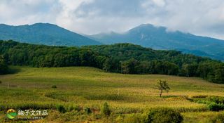 层林尽染,穿行吉林“最美秋天”自驾线,在梵高的油画里仰望星辰