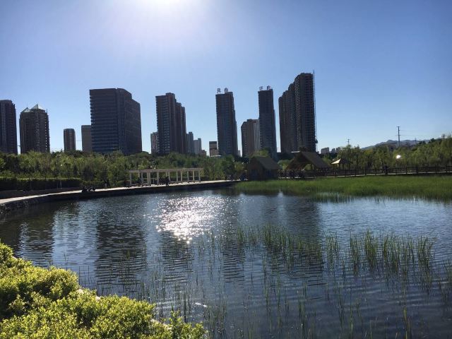 成吉思汗公园北区-西广场旅行图片 1