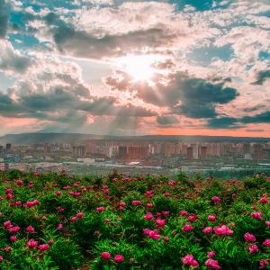 Linxia Prefecture