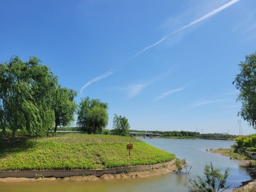 乐泰森林公园