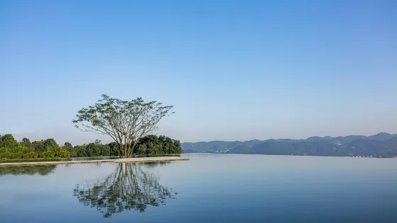 寨山坪森林公園