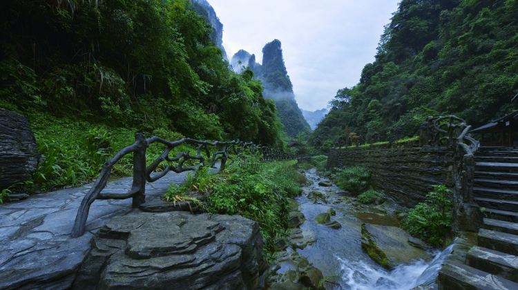 旅行攻略：寻找最佳旅行社推荐