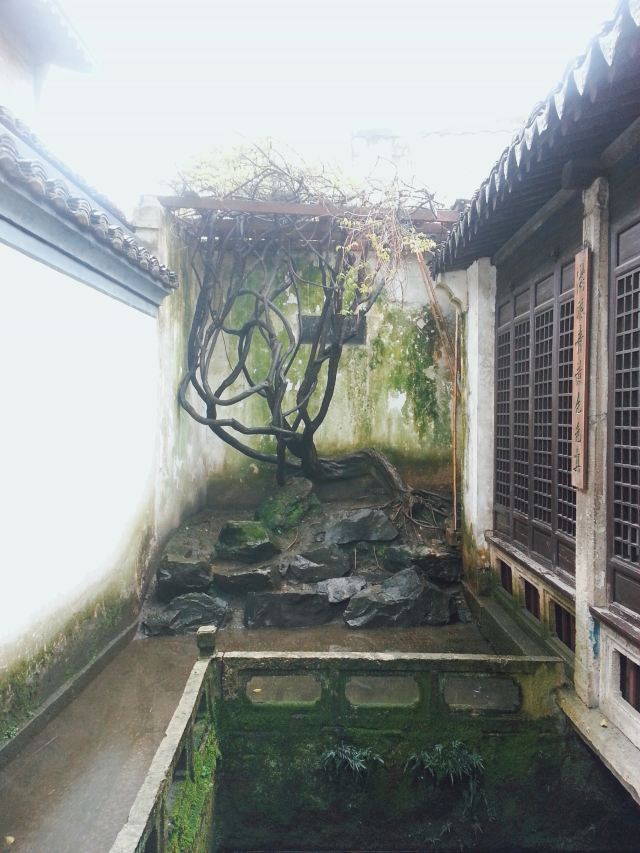 青藤书屋旅行图片 1