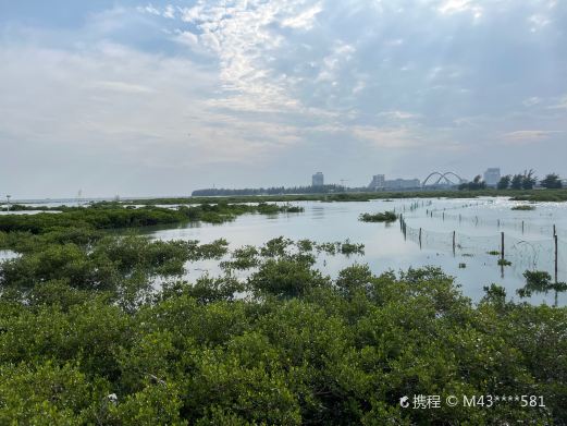 广西北海滨海国家湿地公园