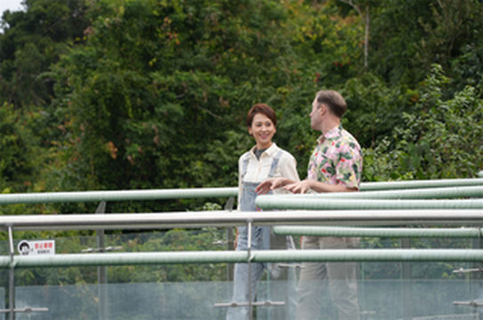 冬至,我们到雨林森呼吸吧