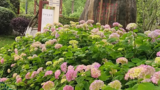江口古鎮