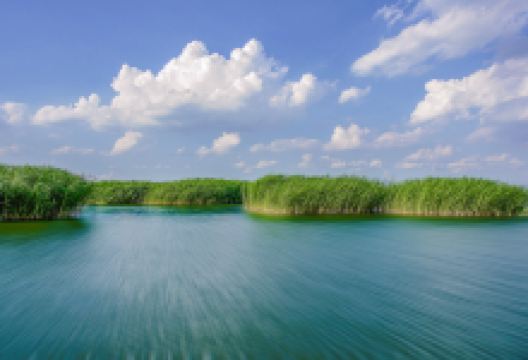 哈素海景点图片