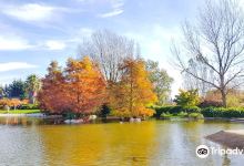 Barakaldo Botanical Garden景点图片