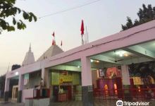 Mansa Devi Temple景点图片