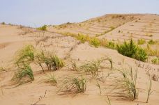 毛乌素沙漠-靖边