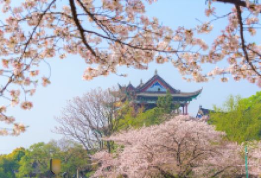 晴川阁景点图片