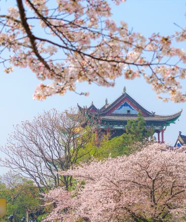 8日7晚 • 武漢+張家界+吉首+恩施土家族苗族自治州+鳳凰古城+長沙