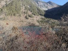 火花海-九寨沟-岱山香橙