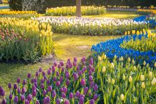 库肯霍夫公园-利瑟