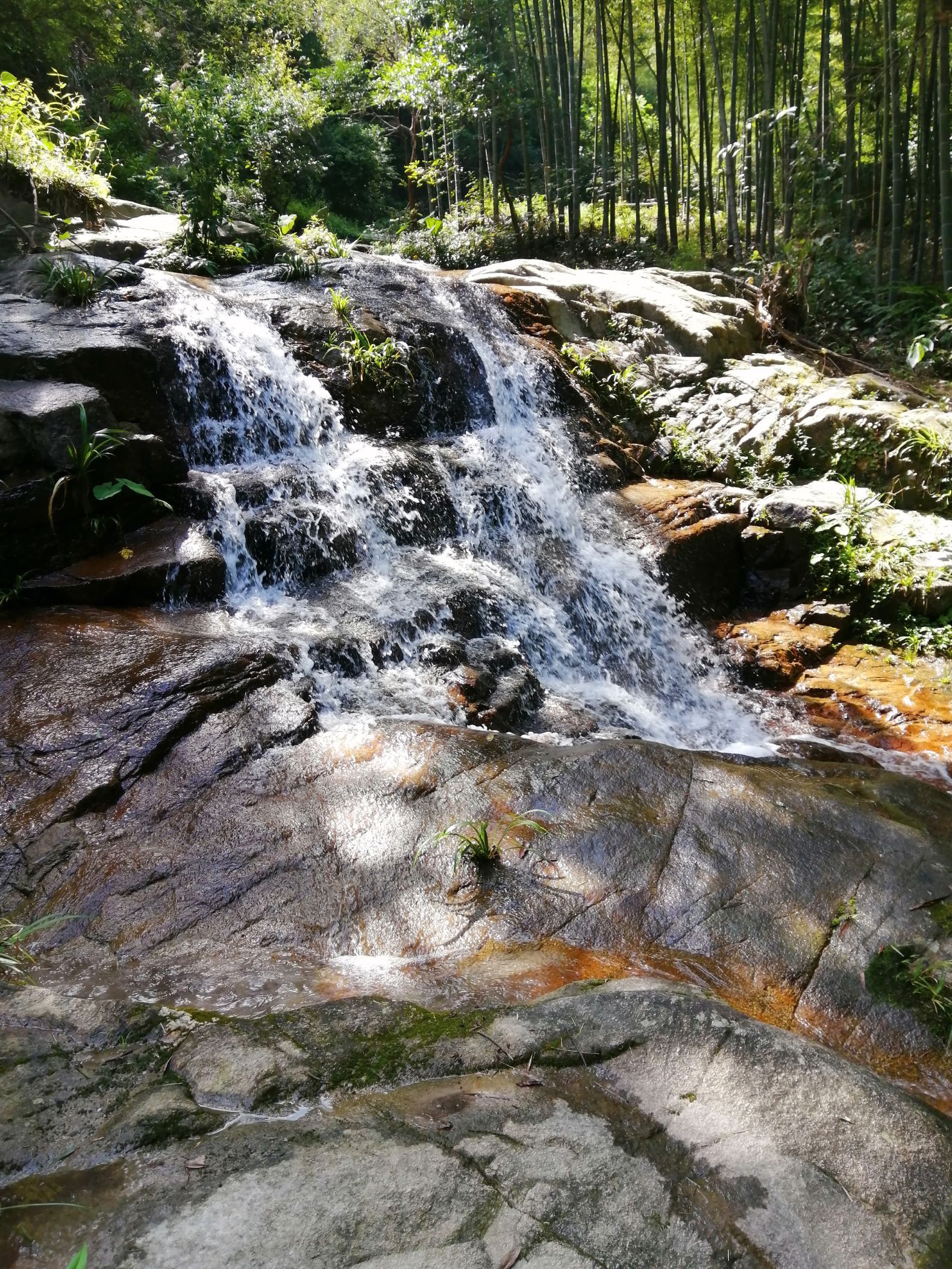 湘艺柴火村餐厅图片