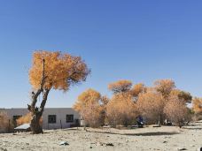 塔里木沙漠公路-且末-JJ77