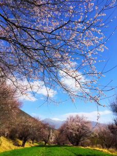 香山公园-北京-非你不渴