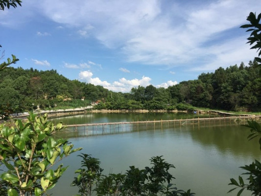 长沙周边农家乐旅游春游打卡好去处