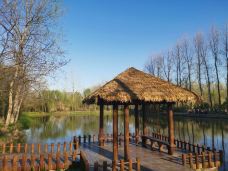 溱湖国家湿地公园-泰州-TC木易