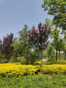 两寺渡公园-咸阳-清风若溪