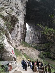 天龙桥-重庆-爱睡觉的猪01