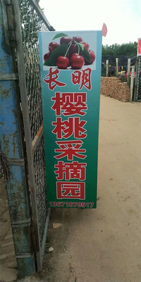 北京通州西集长明樱桃采摘园,边摘樱桃边来场烧烤BBQ,品种超多