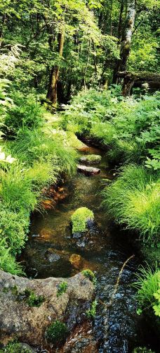 铧子山森林公园-通河-YoYo_2Q6I4Q2Y