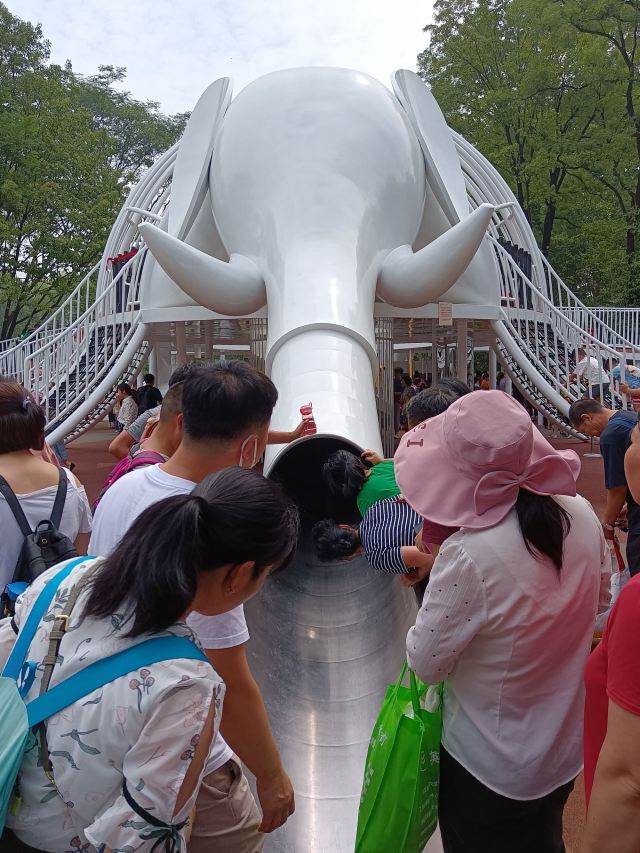 兴庆宫公园旅行图片 2