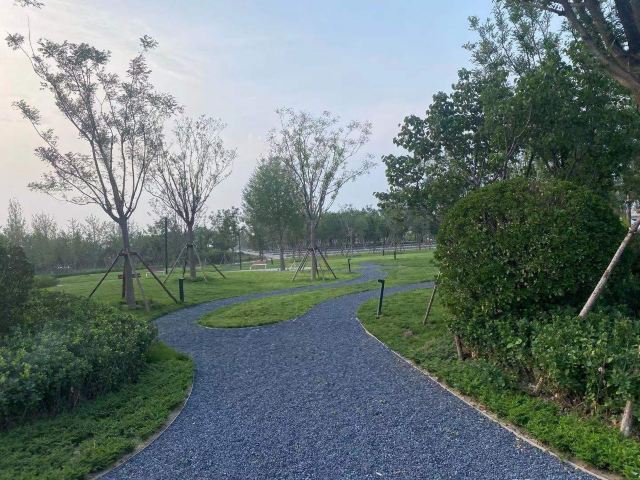 光年城中央公园旅行图片 4